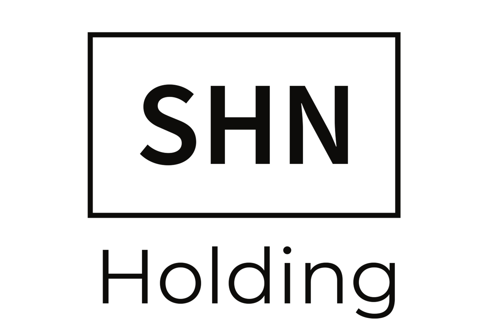 SHN Holding