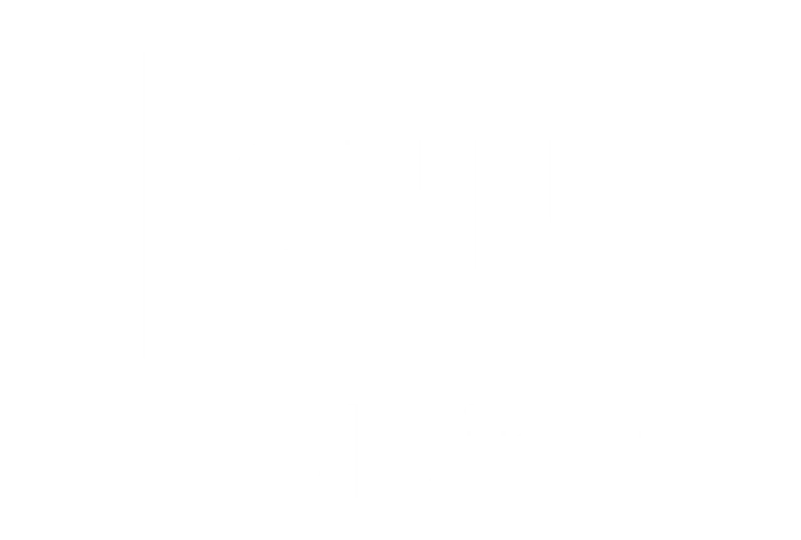 SHN  Holding